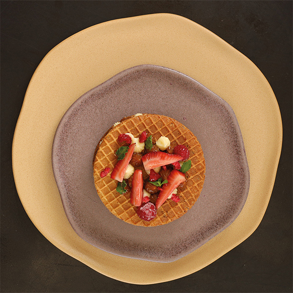 Plato llano Nova 21,7 cm Corona — caja de 12