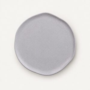 Plato llano Moon